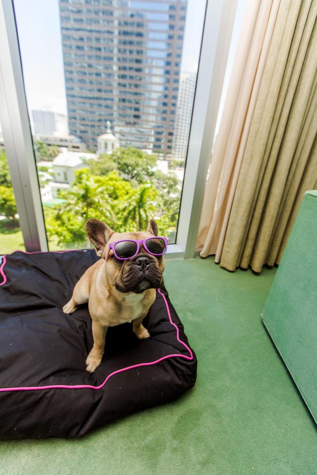 W Miami Hotell Exteriör bild